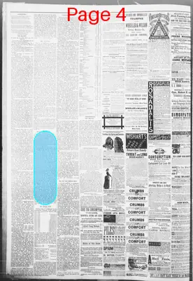 Page thumbnail for Macon Beacon