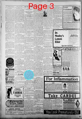 Page thumbnail for Macon Beacon