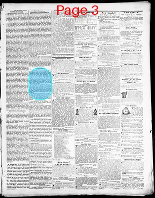 Page thumbnail for Boon's Lick Times