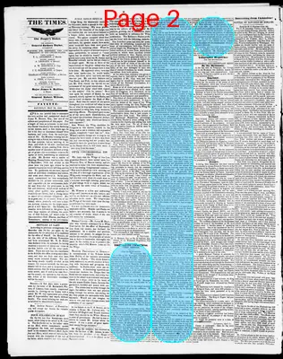 Page thumbnail for Boon's Lick Times