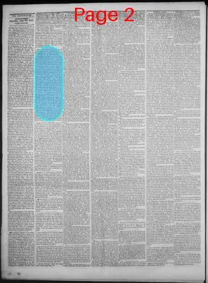 Page thumbnail for Springfield Republican