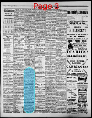 Page thumbnail for The Weekly Visitor