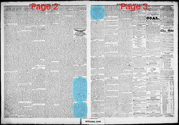 Page thumbnail for Herald Of The Times