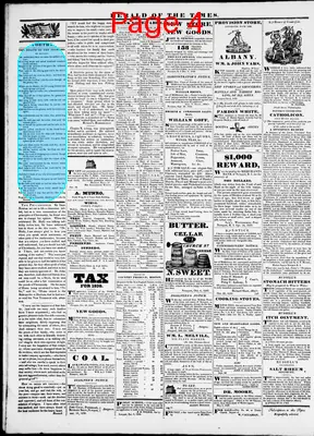 Page thumbnail for Herald Of The Times