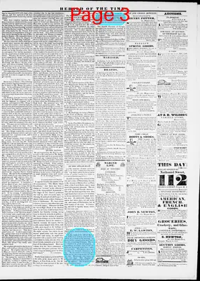 Page thumbnail for Herald Of The Times