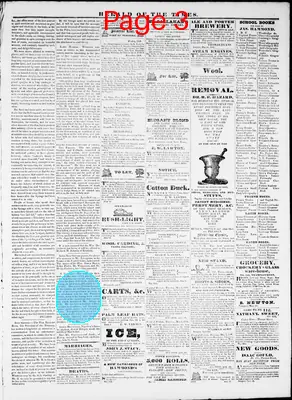 Page thumbnail for Herald Of The Times