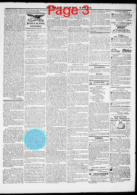 Page thumbnail for Herald Of The Times