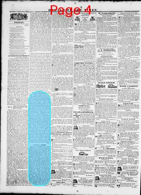 Page thumbnail for Herald Of The Times