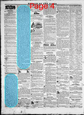 Page thumbnail for Herald Of The Times