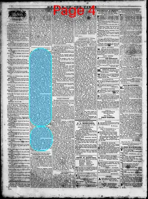 Page thumbnail for Herald Of The Times