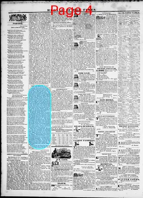 Page thumbnail for Herald Of The Times