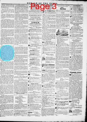 Page thumbnail for Herald Of The Times