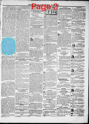 Page thumbnail for Herald Of The Times