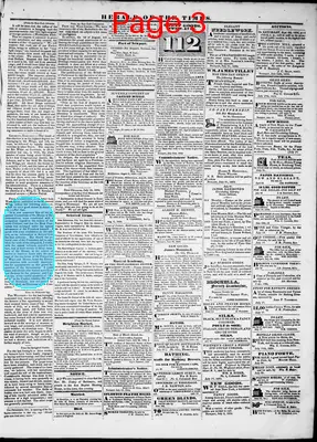 Page thumbnail for Herald Of The Times
