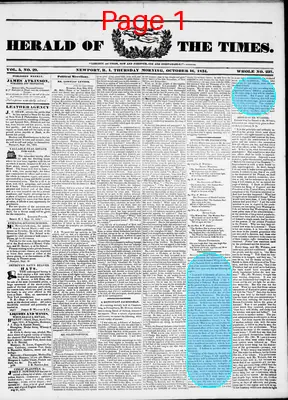 Page thumbnail for Herald Of The Times