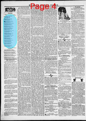 Page thumbnail for Herald Of The Times