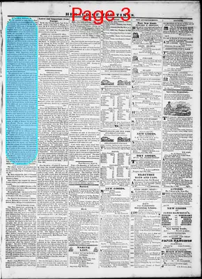 Page thumbnail for Herald Of The Times