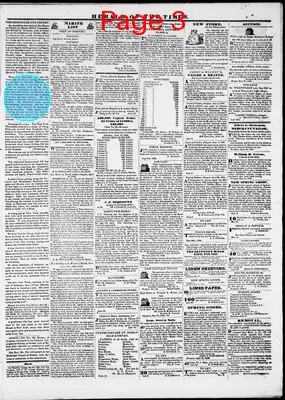 Page thumbnail for Herald Of The Times