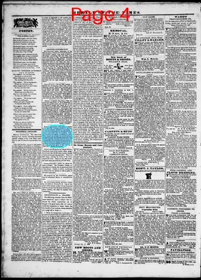 Page thumbnail for Herald Of The Times