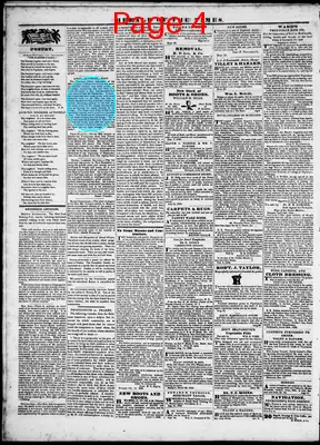 Page thumbnail for Herald Of The Times