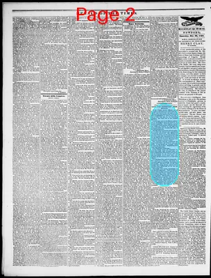 Page thumbnail for Herald Of The Times