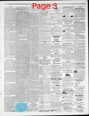 Page thumbnail for Herald Of The Times