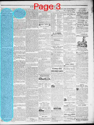 Page thumbnail for Herald Of The Times