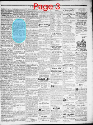 Page thumbnail for Herald Of The Times