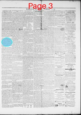 Page thumbnail for Herald Of The Times