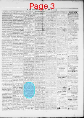 Page thumbnail for Herald Of The Times