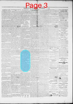 Page thumbnail for Herald Of The Times