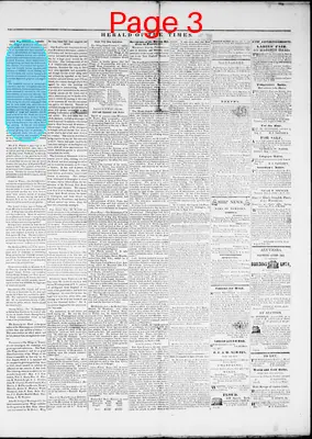 Page thumbnail for Herald Of The Times