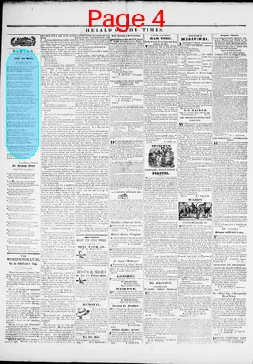 Page thumbnail for Herald Of The Times