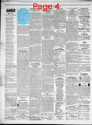 Page thumbnail for Herald Of The Times