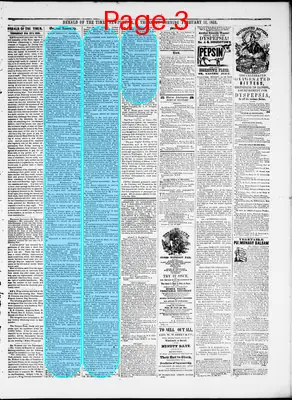Page thumbnail for Herald Of The Times