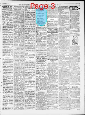 Page thumbnail for Herald Of The Times