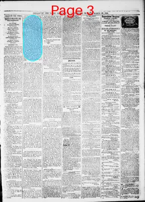 Page thumbnail for Herald Of The Times