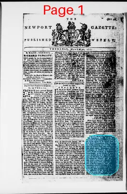 Page thumbnail for The Newport Gazette