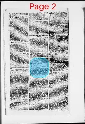Page thumbnail for The Newport Gazette