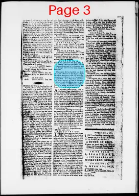 Page thumbnail for The Newport Gazette