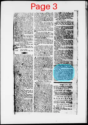 Page thumbnail for The Newport Gazette