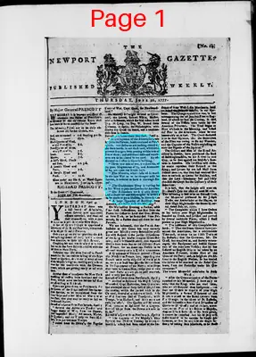 Page thumbnail for The Newport Gazette