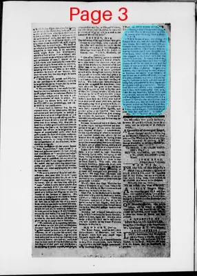Page thumbnail for The Newport Gazette