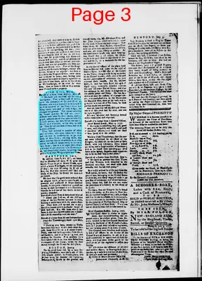 Page thumbnail for The Newport Gazette