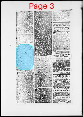 Page thumbnail for The Newport Gazette