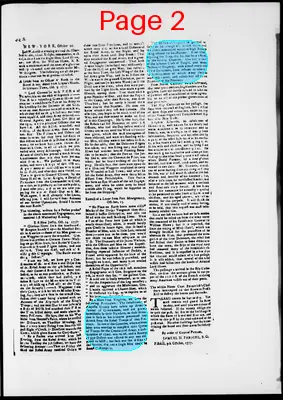 Page thumbnail for The Newport Gazette