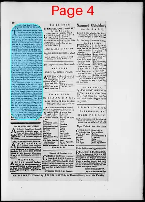 Page thumbnail for The Newport Gazette