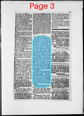 Page thumbnail for The Newport Gazette