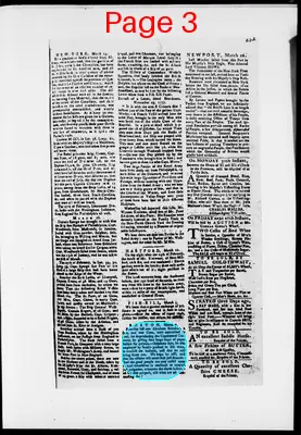 Page thumbnail for The Newport Gazette