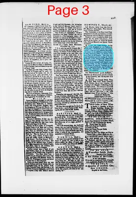 Page thumbnail for The Newport Gazette